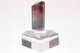 Bi-Colored Elbaite Tourmaline Crystal - Coronel Murta, Brazil #206250-1